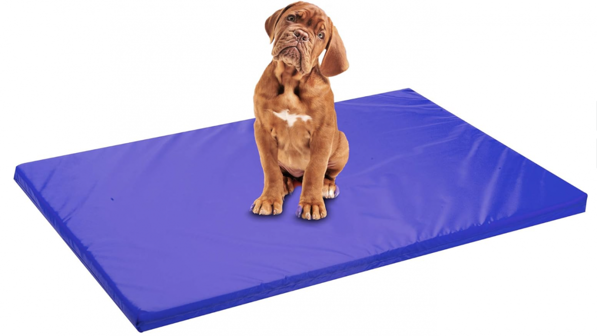 Best dog beds for crates to make a soft and cosy haven