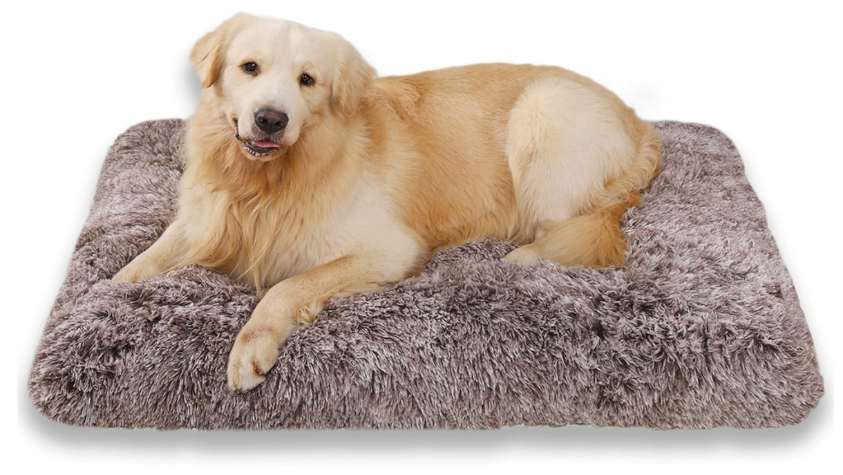 Best dog beds for crates to make a soft and cosy haven