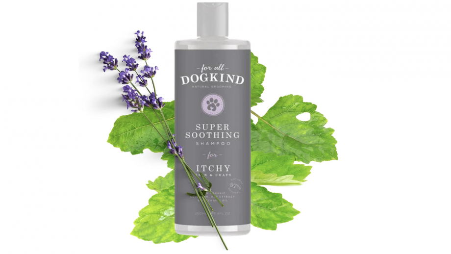 Best dog shampoo itchy skin: soothe and relieve irritated patches