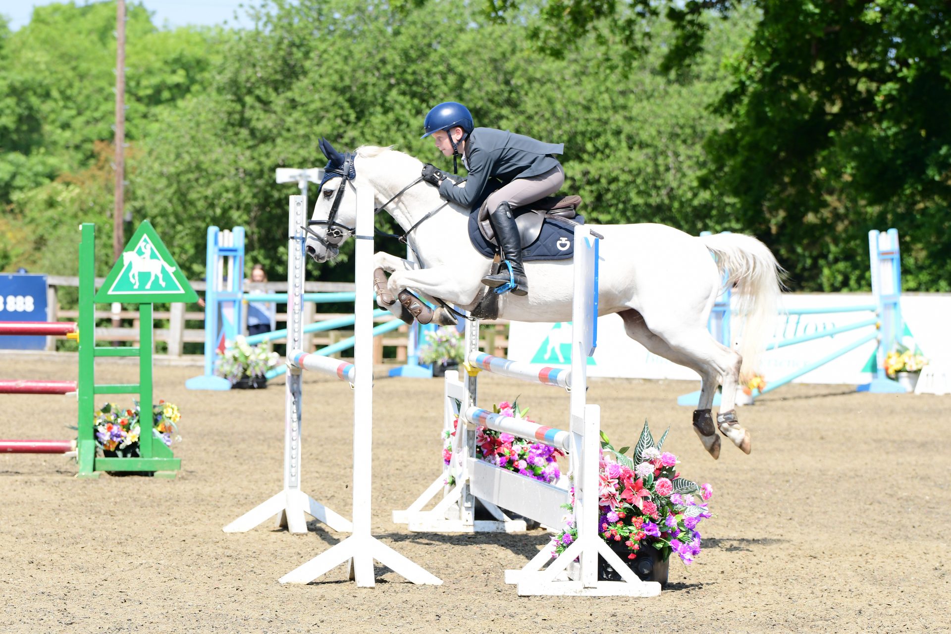 Zachary Bradshaw qualifies for HOYS showjumping