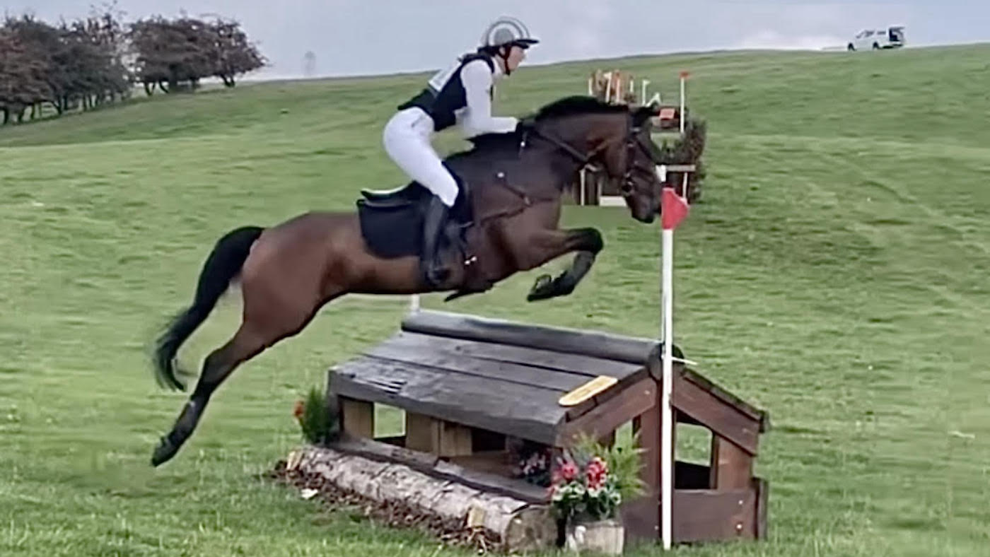 A one-eyed profitable pocket rocket, Charlotte Dujardin’s thrilling mares, and different issues the pony global is speaking about