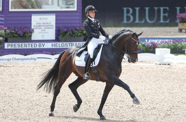 Blue Hors Zack will compete one last time at the World Cup leg in Herning, with Nanna Skodborg Merrald