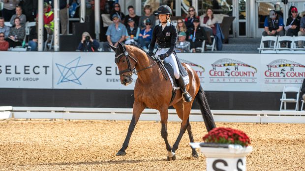 Maryland 5 Star dressage: Monica Spencer and Artist