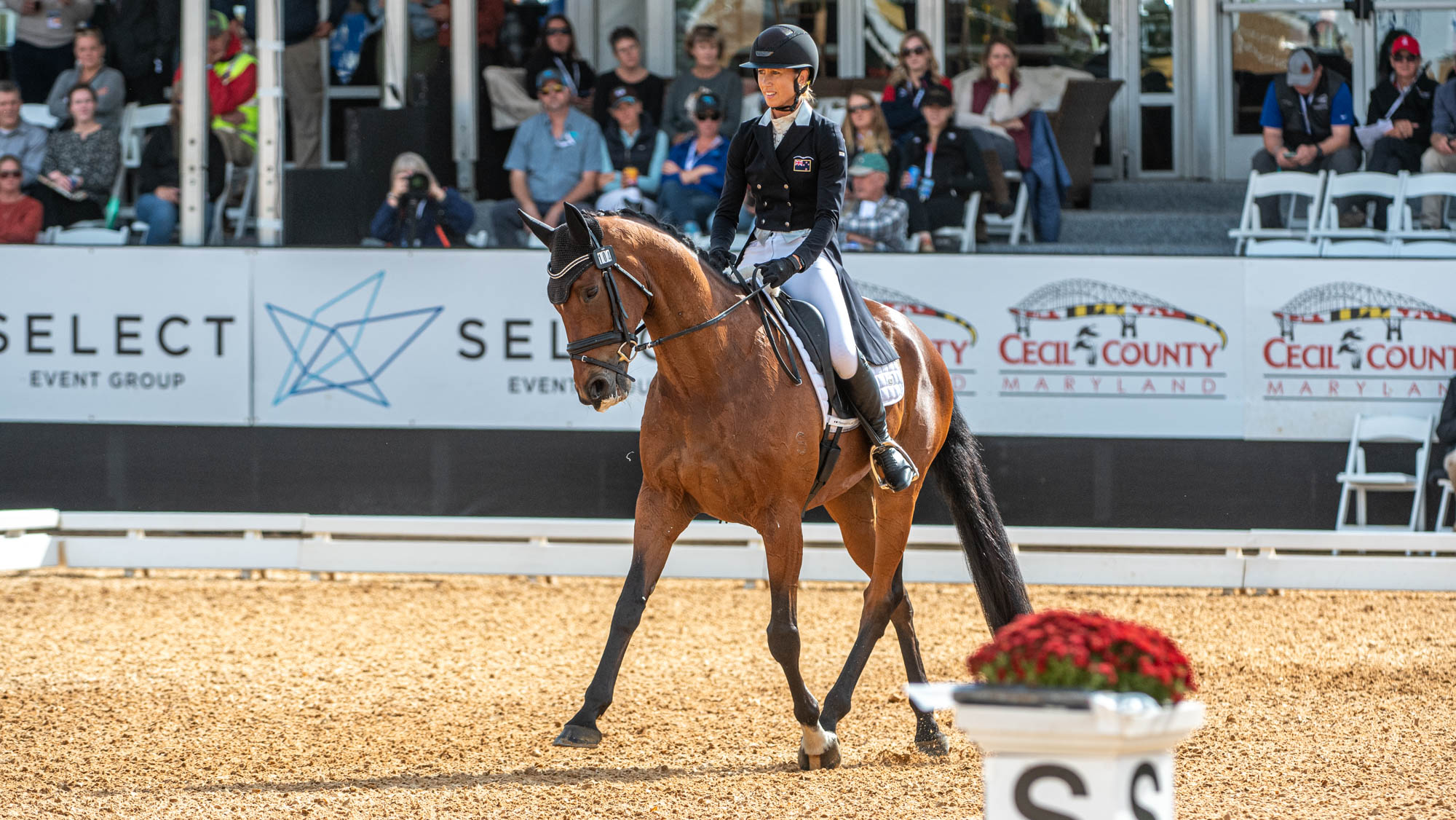 Maryland 5 Famous person dressage: thoroughbred takes early lead