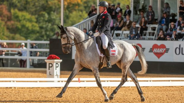 Maryland 5 Star dressage: Oliver Townend and Cooley Rosalent