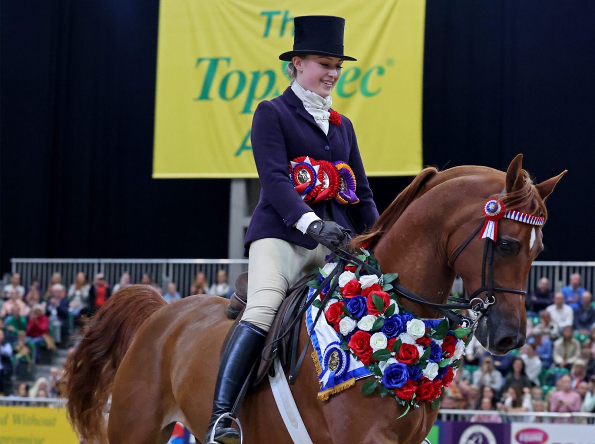 HOYS 2023 ridden Arab champion: Cipriana - Horse & Hound