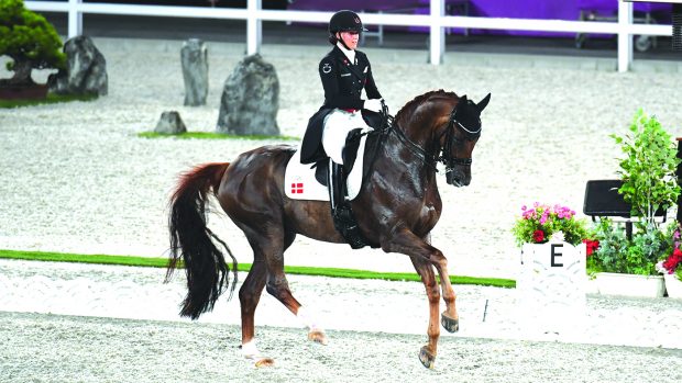 bohemian cathrine dufour