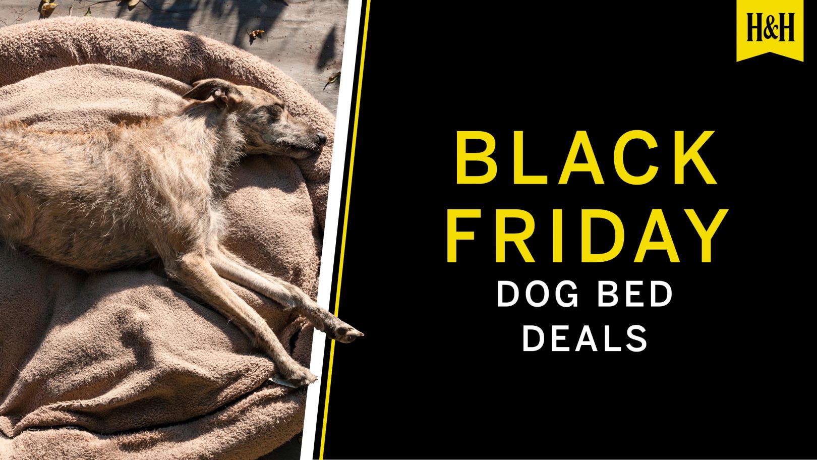 Black Friday/Cyber Monday equestrian deals 2023 Horse & Hound