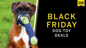 Black Friday Dog Toy deals graphic