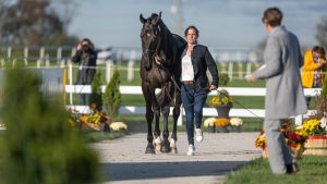 Maryland 5 Star final trot-up: Piggy March and Brookfield Cavalier Cruise