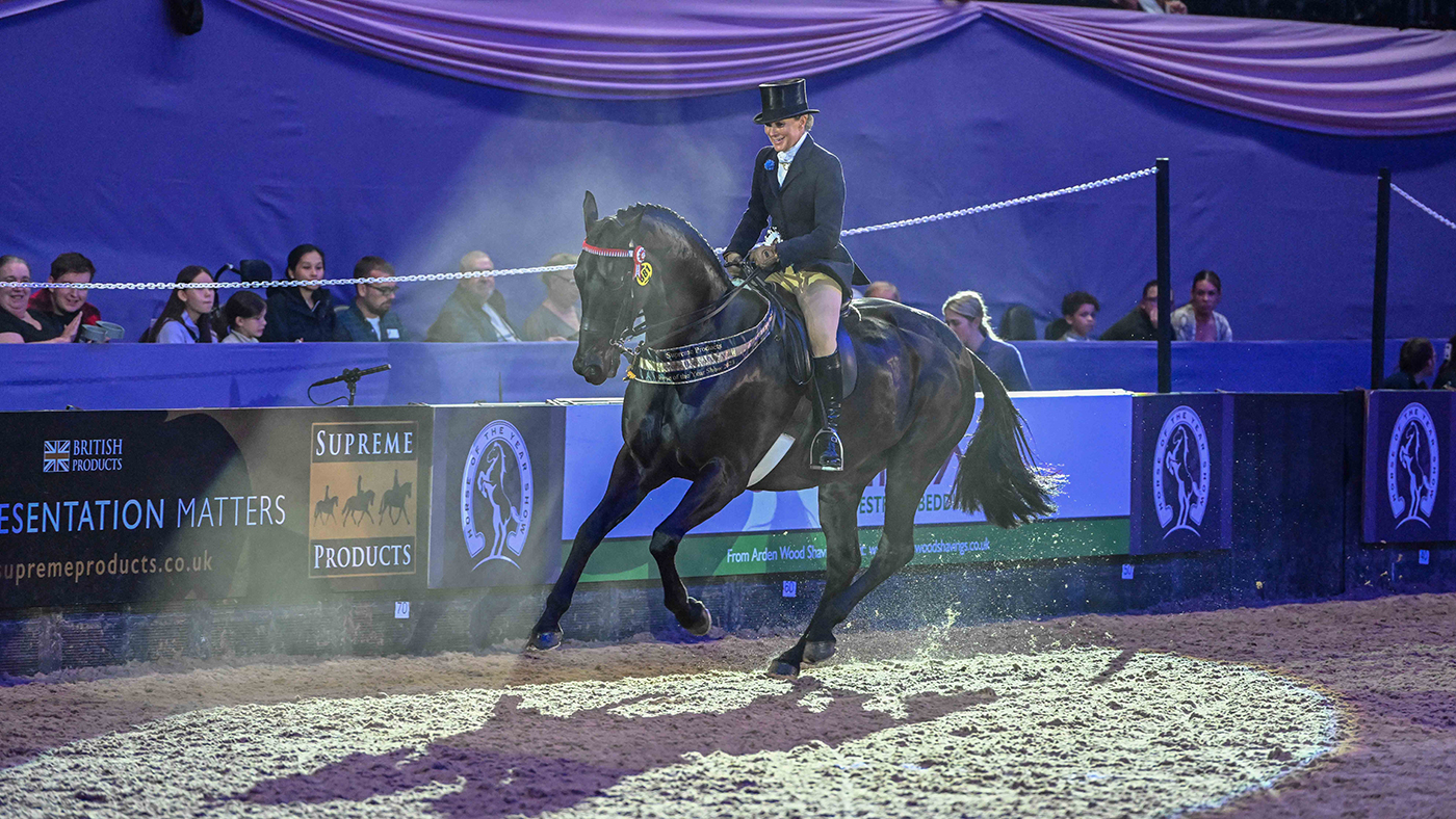 023 HOYS supreme horse
