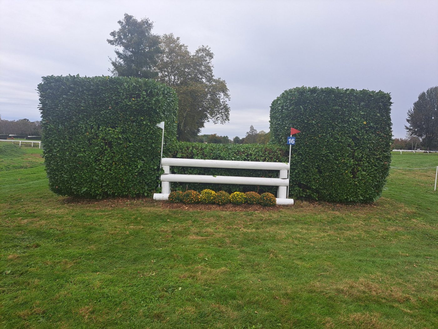 Pictured fence 16 of Pau Horse Trials cross-country course 2023