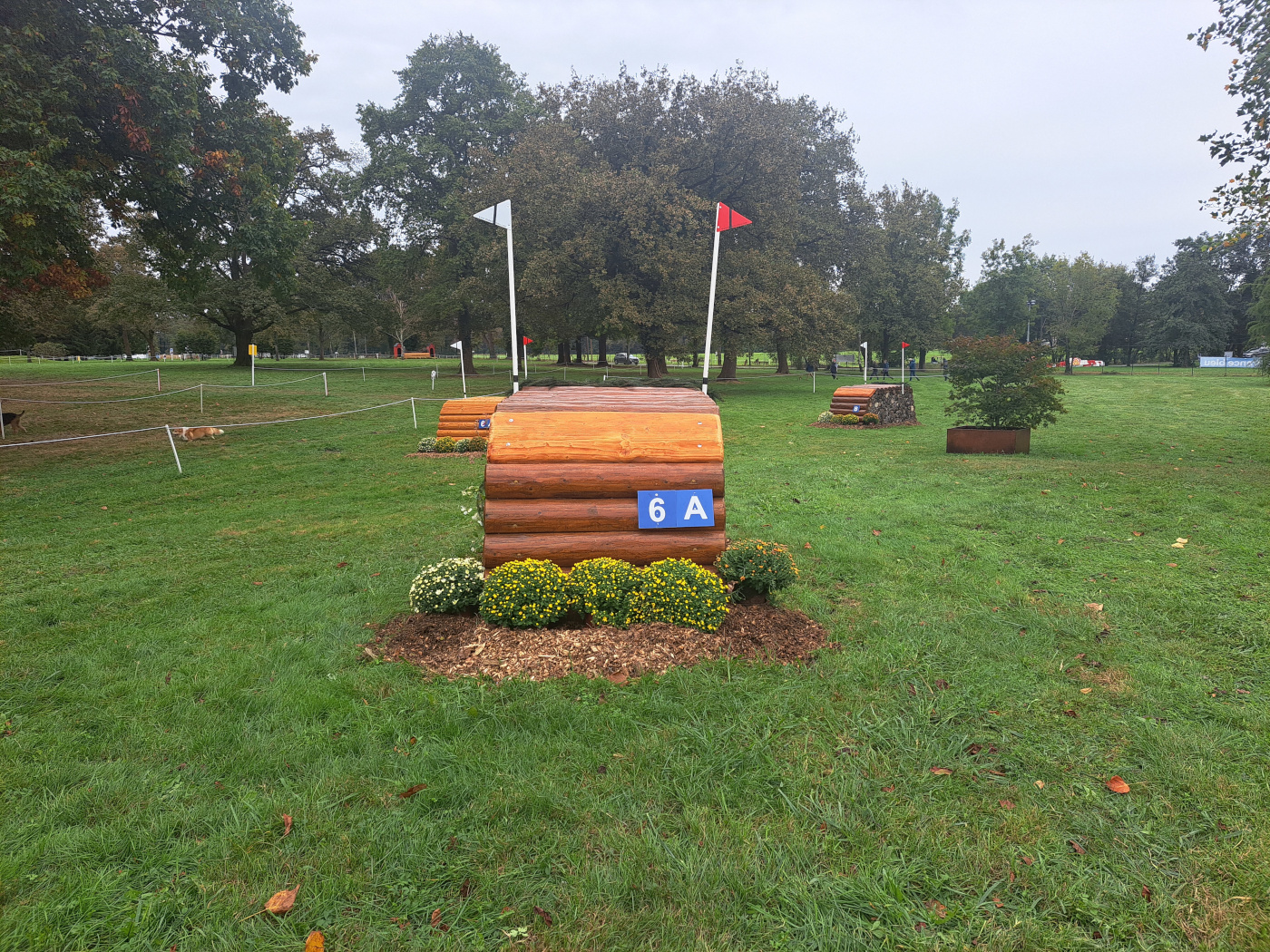 Pau Horse Trials cross-country course fence 6a