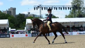 buying a show hunter pony