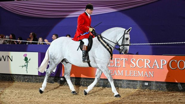 2023 HOYS cob championship