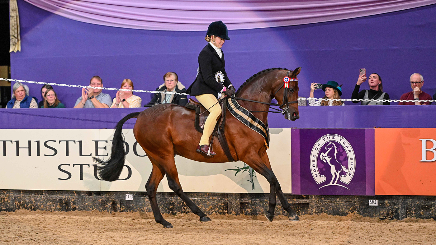 HOYS supreme pony 2023