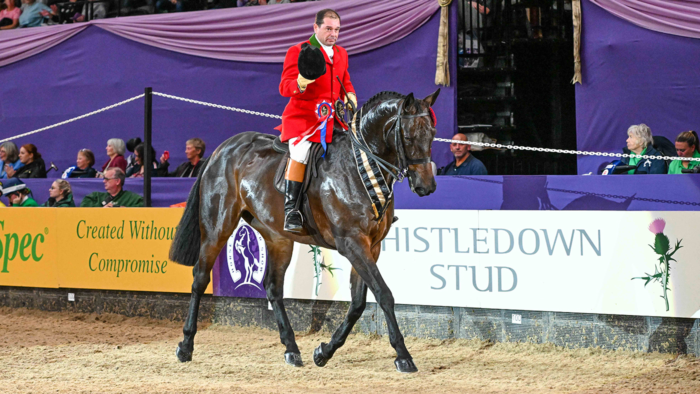 Robert Walker: 2023 HOYS display hunter championship