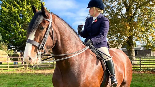 Cotebrook Sgurr Alasdair