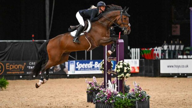 Louise Simpson and Cornet of Follyfoot win the newcomers final at HOYS