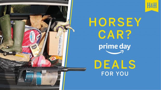 Messy horse person car graphic