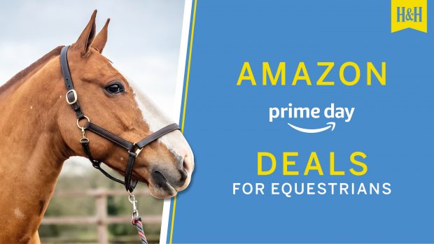 Amazon Prime Day Deals for equestrians graphic