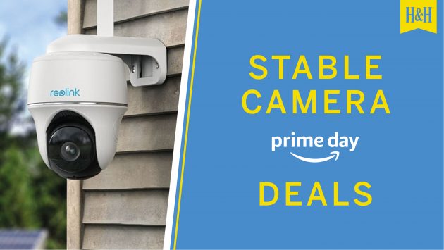 Strong digicam offers: our Amazon High Day 2024 selections