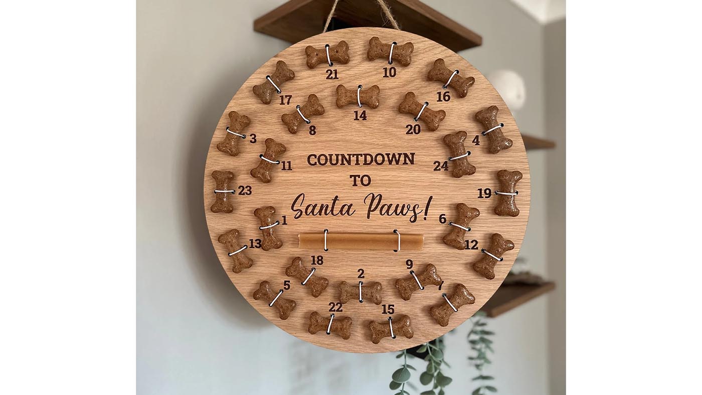 Pet advent calendar