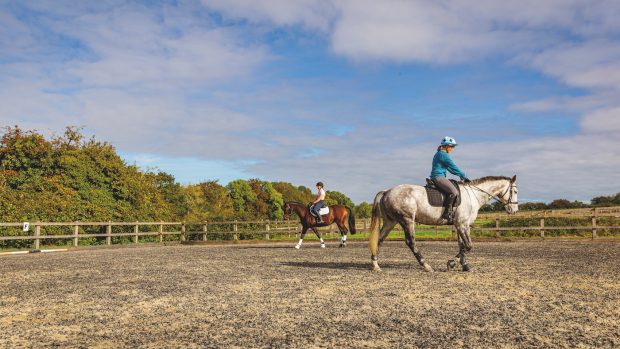 Health of riding establishments survey