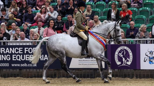 2023 SEIB Search For A Star (SFAS) classes