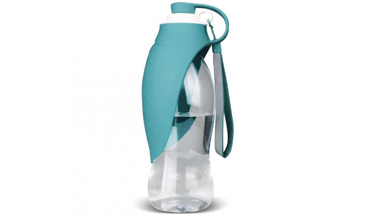 Best water bottles for dogs for comfort and health Horse & Hound