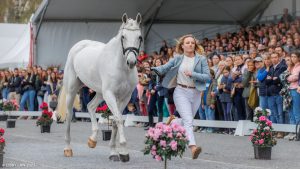 Three horses have left the five-star competition, and two British horses were sent to the holding box at the Pau Horse Trials final-trot up