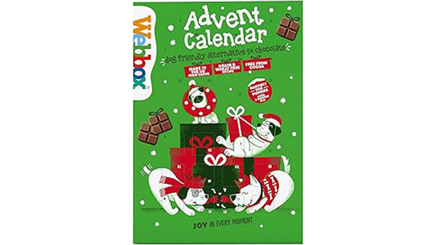 Webbox dog advent calendar