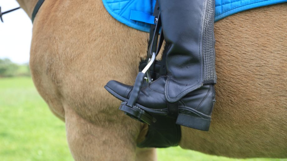 Sprenger Bow Balance Stirrups side on