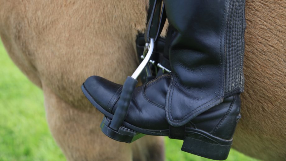 Foot in Sprenger Bow Balance Stirrups