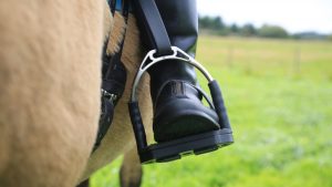 Foot in Sprenger Bow Balance Stirrups head on