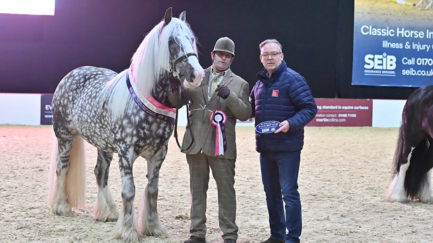 2023 SEIB Seek For A Superstar Your Horse Are living results- Horse & Hound