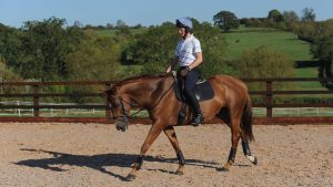 Man riding horse in an arena