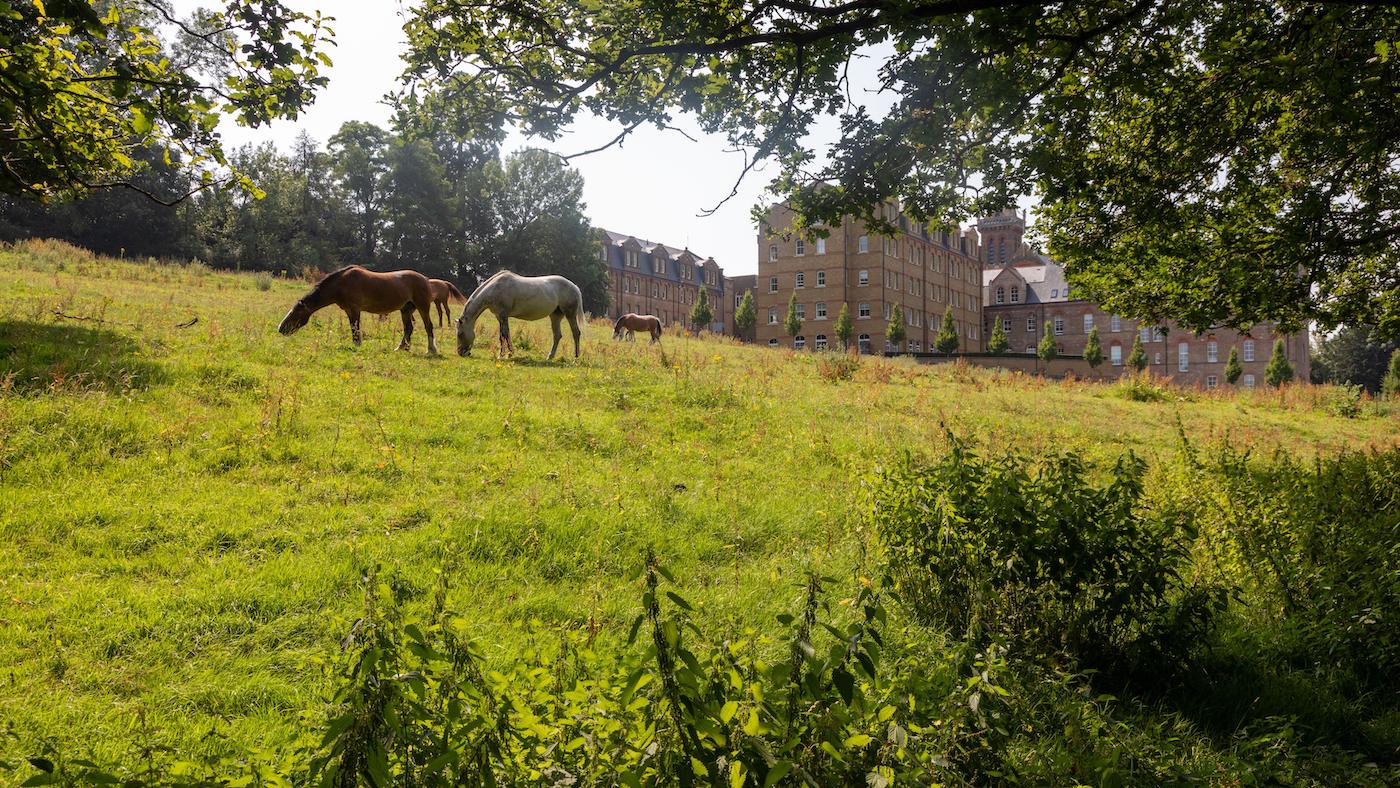 How being greener may offer protection to our horses, land and recreation