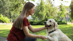 Lady demonstrating how to teach a dog to paw