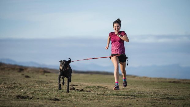 How to run with a dog