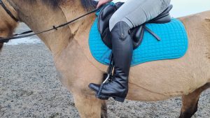 Ariat Heritage Contour Field boots worn in saddle