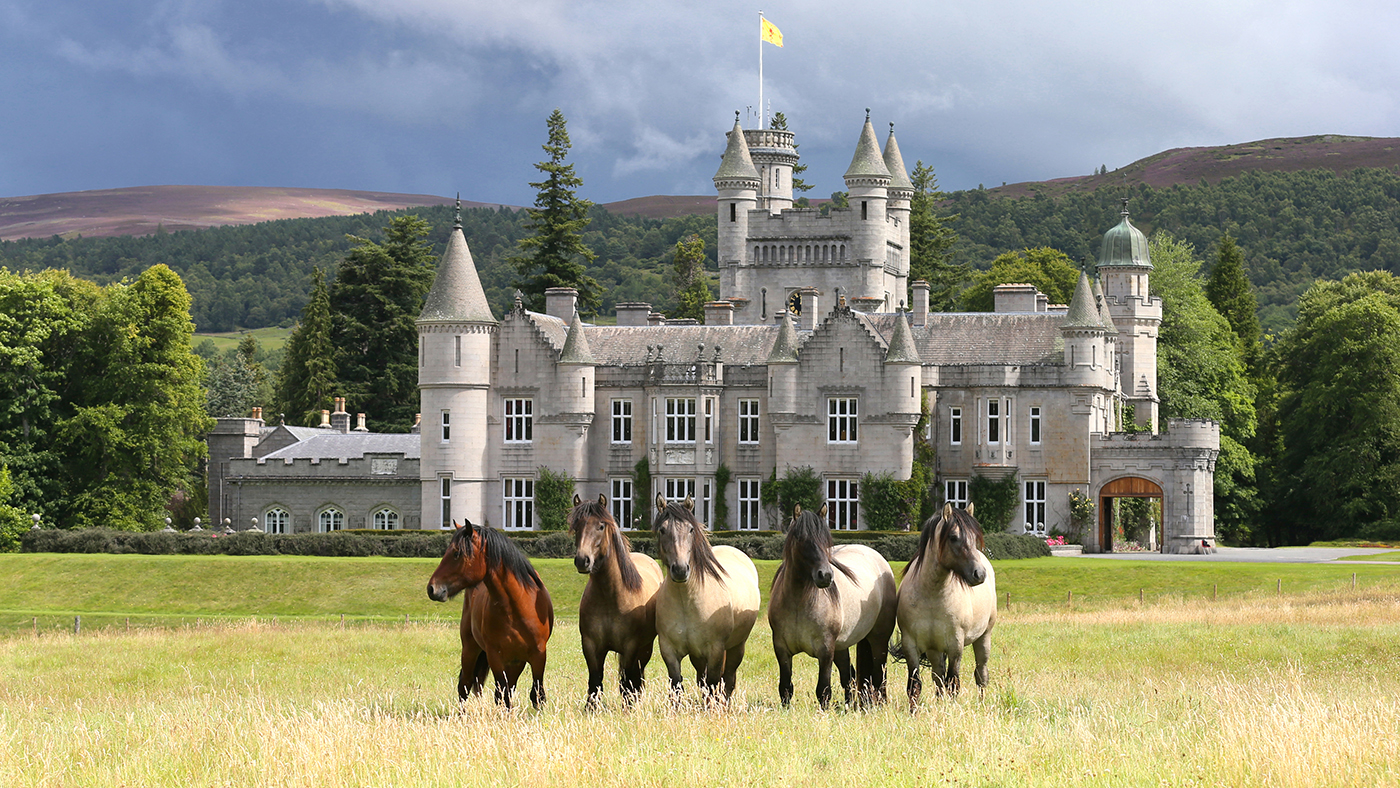 The overdue Queen’s ponies to transport from Balmoral to England