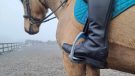 Flex-on Green Composite stirrups foot in stirrup from rear