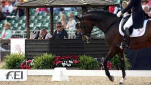 FEI dressage rule change