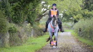 Introducing your horse to traffic: always wear hi vis to take a horse on the road