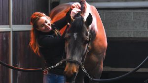 Harry Charles' groom Georgia Ellwood with Romeo 88 at home at Heathcroft Farm