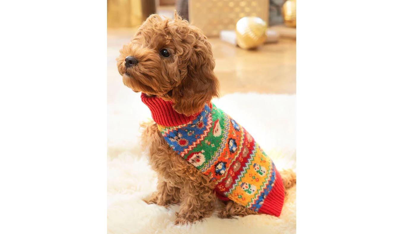 JoJo Maman Bébé Multi Christmas Fair Isle dog jumper
