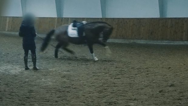 The FEI has responded to the undercover documentary filmed at Helgstrand Dressage. Pictured a screenshot from footage shown in the documentary.