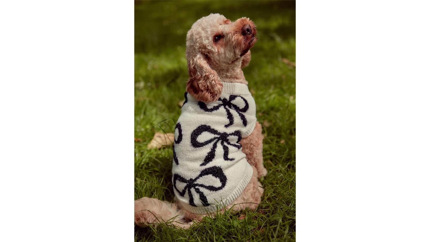 NEXT White and Black Tinsel Bow Christmas Dog Jumper