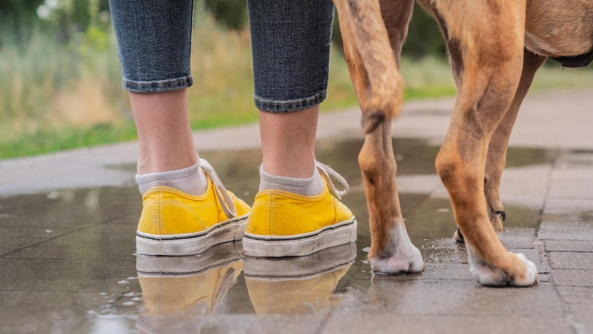 Best shoes for dog walking in all weathers Horse & Hound